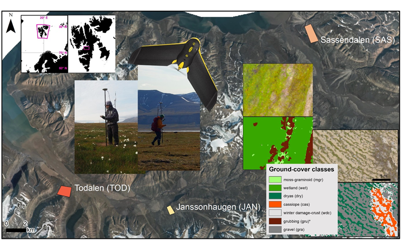 Drone-based mapping of changed vegetation